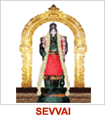 Balaji Residency, Tirunageswaram